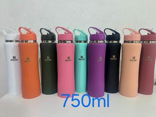 ￼Garrafa térmica inox 750ML C/ Canudo